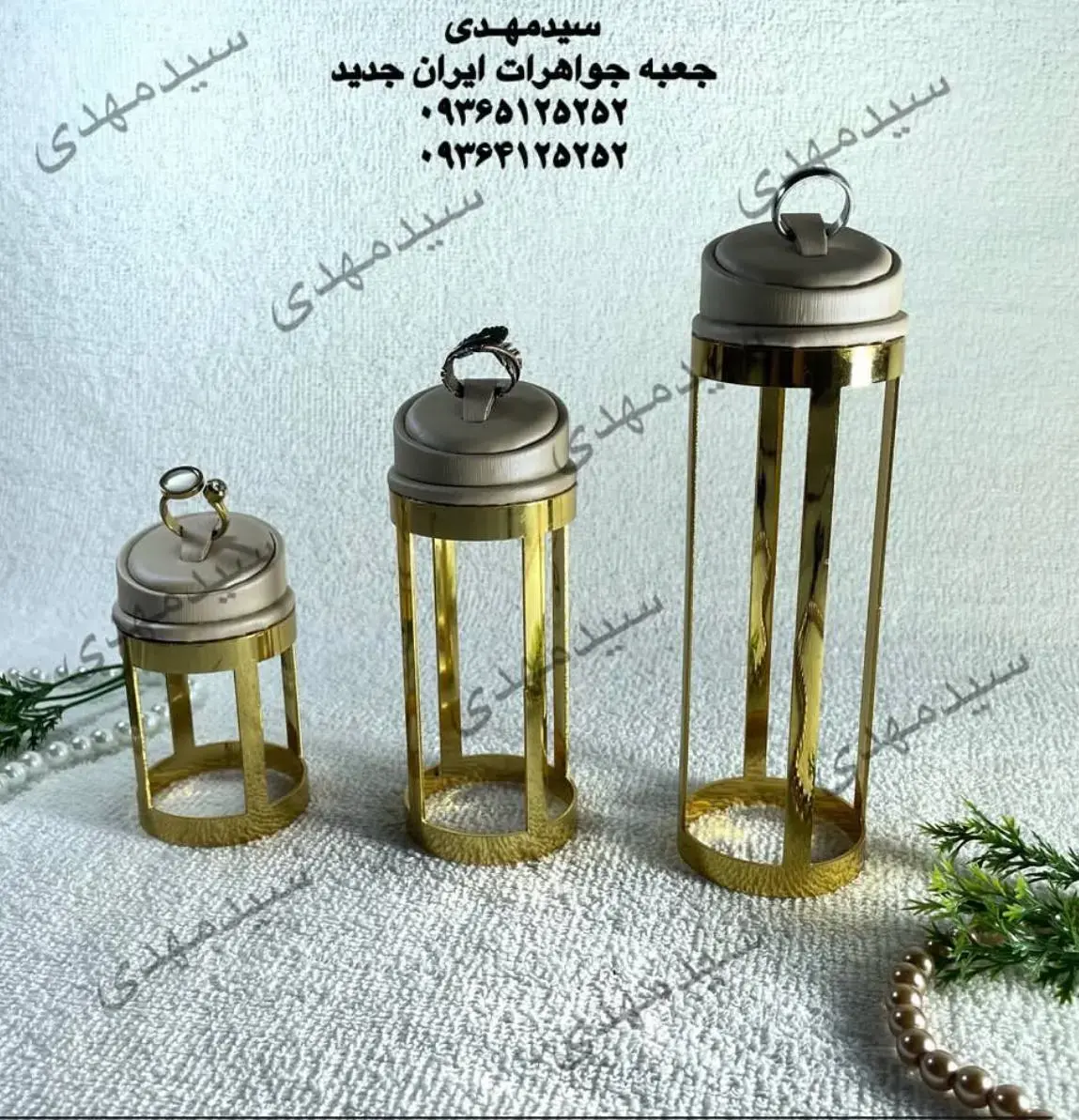 سید مهدی