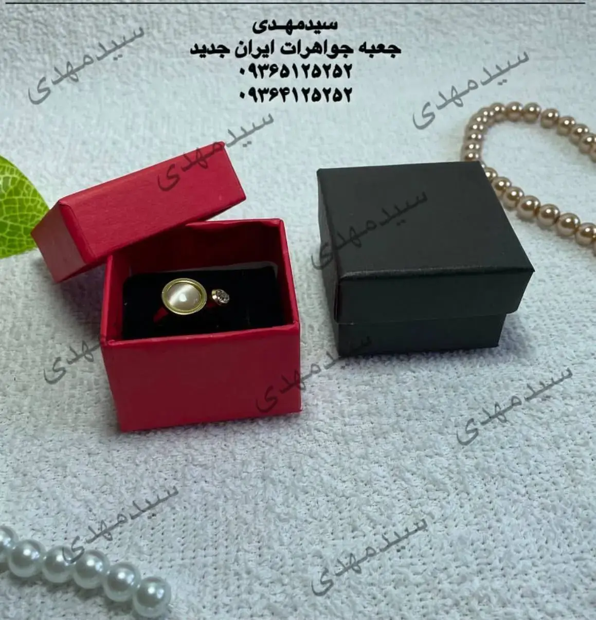 سید مهدی