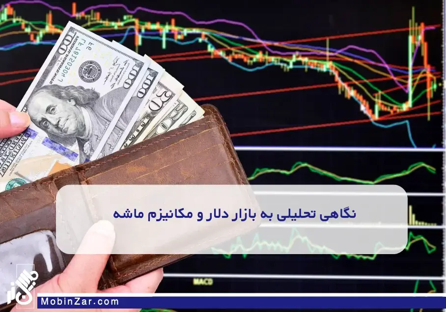 نگاهی تحلیلی به بازار دلار در شهریور ماه 1404