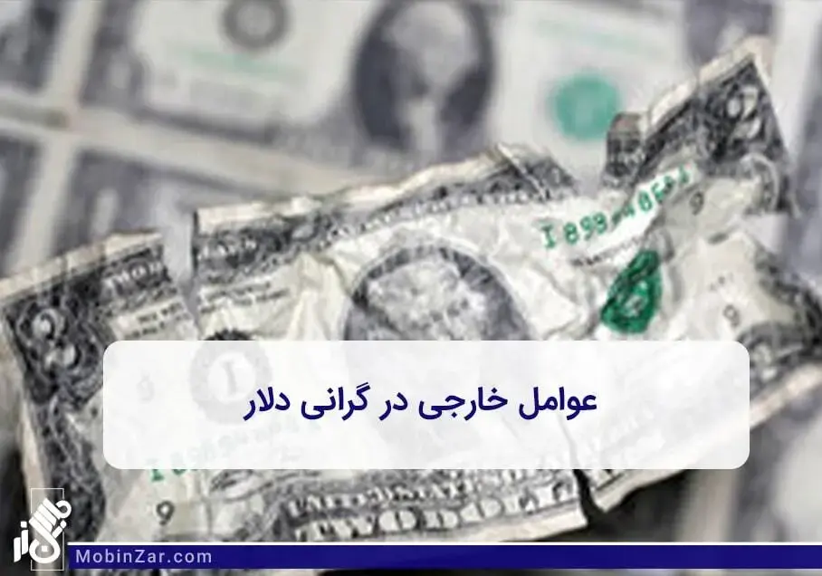 عوامل مهم و تاثیر گذار در قیمت دلار به همراه نقش عوامل داخلی در گرانی دلار 